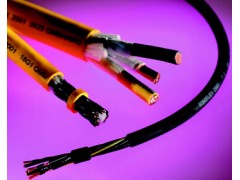 局域網電纜  品牌： BELDEN 標簽：