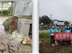 學(xué)習(xí)雷鋒好榜樣，團員青年獻愛心