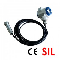 進(jìn)口MDSGP162系列投入式液位變送器