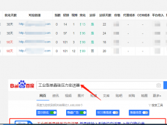 儀器儀表SEO優(yōu)化案例  上海立格儀表