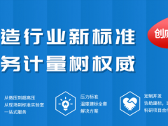 中小型數(shù)字壓力表企業(yè)如何正確開設(shè)電子商務(wù)運(yùn)營(yíng)