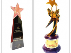 喜訊！英威騰電源獲得兩項(xiàng)UPS供配電系統(tǒng)行業(yè)發(fā)展榮譽(yù)