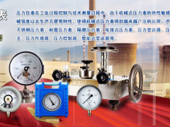 智能化未來(lái) 上海自動(dòng)化儀器儀表