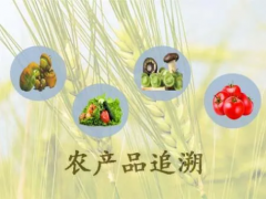 區(qū)塊鏈＋農(nóng)產(chǎn)品溯源的應(yīng)用前景分析