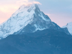 數(shù)字新基建，線上新經(jīng)濟(jì) 上海電氣“吸睛”上交會(huì)海外展