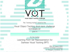 大華股份AI視頻跟蹤算法榮獲VOT2020競(jìng)賽冠軍