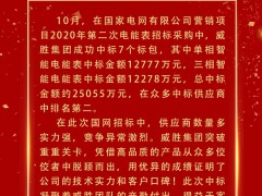 喜報(bào) | 威勝集團(tuán)成功中標(biāo)電網(wǎng)項(xiàng)目超2.5億元！