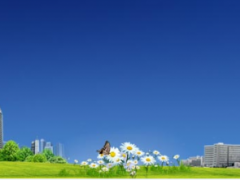 蘇州計量測試院“數(shù)字指示秤能力驗證”取得滿意結果