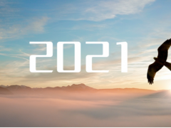 乘“峰”而上，智“盈”未來 盈峰環(huán)境邁上了2021新征程