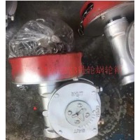 帶鏈條閥門蝸輪箱QDX3-6煤化工閥門帶鏈輪蝶閥減速機
