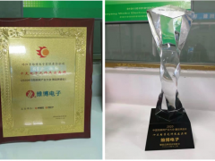 技術(shù)創(chuàng)新 再接再厲 維博電子榮獲“十大電子元件杰出品牌”稱號(hào)