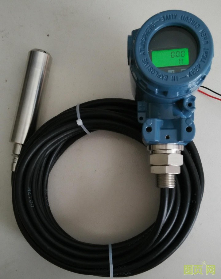 投入式液位計(jì)變送器 (2)