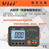 絕緣電阻測試儀VC60B+ 聲光報(bào)警兆歐表