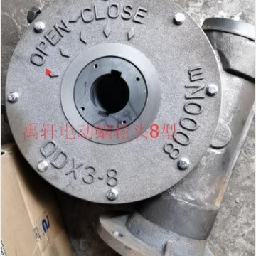 QDX3-D8電動(dòng)閥門渦輪頭 DN700閥門電