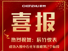 捷報(bào)鴻喜 辰竹儀表兩個(gè)標(biāo)段成功入圍2021年度中石化采購框架