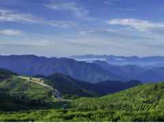 聚光科技碳監(jiān)測助力實(shí)現(xiàn)“碳達(dá)峰”和“碳中和”目標(biāo)