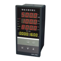 溫州新樂儀器儀表_XWP-LES80智能流量積算儀