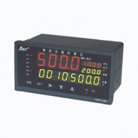 溫州新樂儀器儀表_XWP-LD80系列