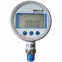 精密數(shù)字壓力表
