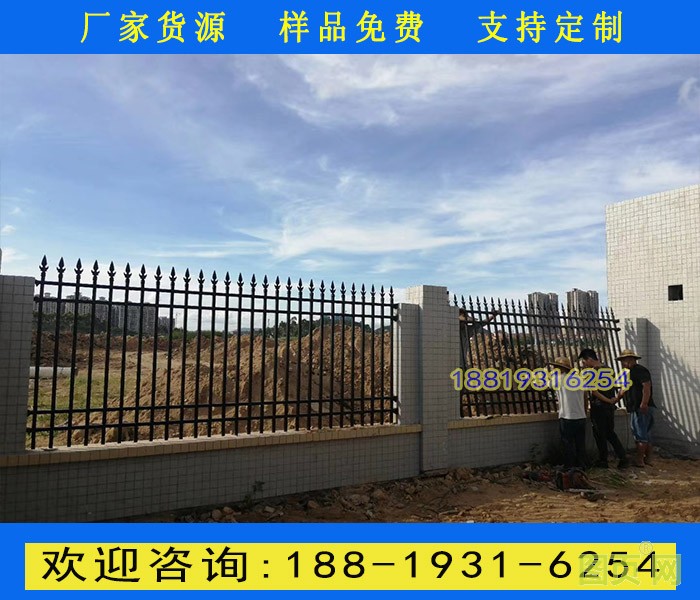 19號(hào)新圖片5