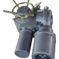 DZW15-24-A00-WK 智能開關(guān)型電動(dòng)裝置