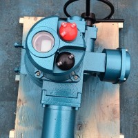 Q20-1W/Z 整體式電動(dòng)機(jī)構(gòu)