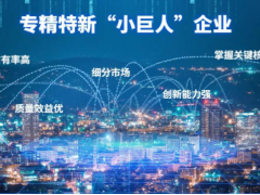 產(chǎn)業(yè)領(lǐng)域 創(chuàng)新發(fā)展 萬(wàn)訊自控成功入選第三批專精特新“小巨人”名單