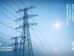 錨定“雙碳”目標，大華股份蹄疾步穩(wěn)踐行綠色發(fā)展