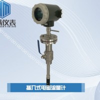 恒滿測控_插入式電磁流量計(jì)_ LD型自主研發(fā)轉(zhuǎn)換器