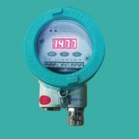 上海錕鵬_音叉式物位開關(guān)_物位開關(guān)