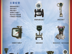 南京梅特朗測控儀表有限公司 總經(jīng)理 李中 2022新年寄語