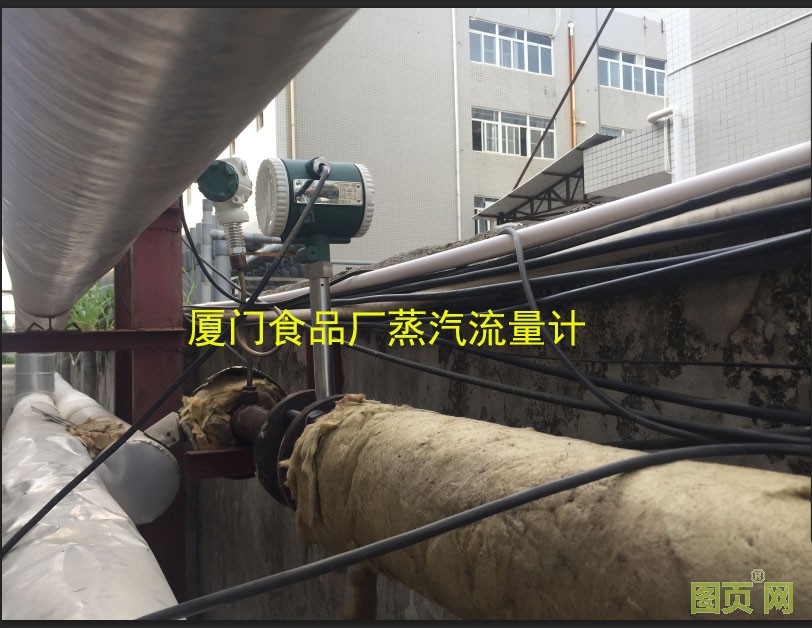 食品廠蒸汽流量計(jì)