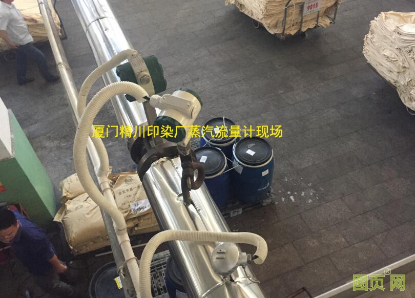 漂染廠蒸汽流量計(jì)