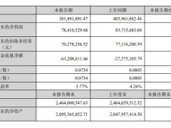 三川智慧上半年凈利潤(rùn)7841.05萬(wàn)，同比下降6.34%