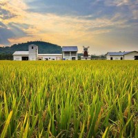 2023中國鄭州國際有機食品產(chǎn)業(yè)展覽會