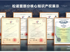 松諾盟順利通過國家知識(shí)產(chǎn)權(quán)管理體系貫標(biāo)認(rèn)證！