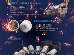 百夫長傳感技術（深圳）有限公司 總經(jīng)理 趙勇 2023年新春寄語