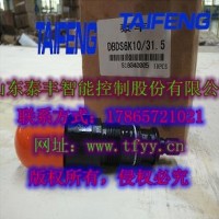 泰豐直動式溢流閥DBDS10K現(xiàn)貨批量供應(yīng)