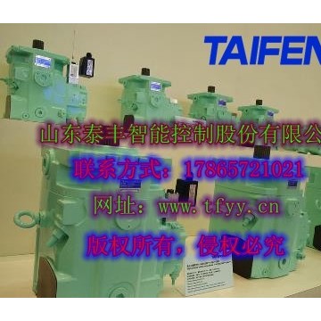泰豐負(fù)載敏感泵TFB1V63M定量右旋平