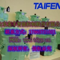 泰豐負載敏感泵TFB1V63M定量右旋平鍵軸