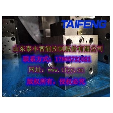 泰豐直銷(xiāo)TLFA50DBWAT-7X插裝閥蓋板