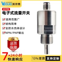 FGJ經(jīng)濟型插入式流量開關(guān) 消防水流開關(guān) 開關(guān)量輸出