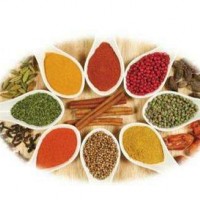 2023中國鄭州國際食品添加劑及配料展覽會