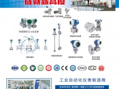 煙臺(tái)奧特儀表的優(yōu)勢(shì)及其儀表行業(yè)的地位