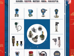 南京中創(chuàng)電子科技有限公司總經(jīng)理 褚益峰 2024年新春寄語