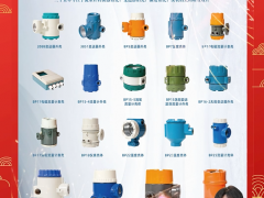 金湖縣金康儀表廠 總經(jīng)理 黃玉華 2024年新春寄語