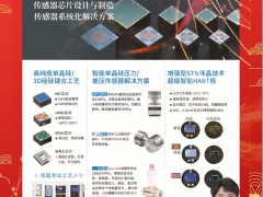 江蘇德新科智能傳感器研究院有限公司 總經(jīng)理  陳立新 2024年新春寄語