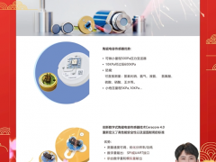 上海德薩堡傳感器有限公司 總經(jīng)理 王欣  2024年新春寄語