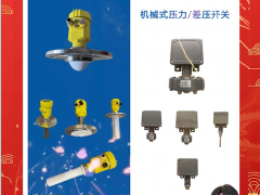 北京北方華瑞測控技術有限公司 銷售總監(jiān) 楊子 2024年新春寄語