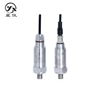 星儀CYYZ39A 戶外高防護(hù)型壓力變送器 室外抗沖擊